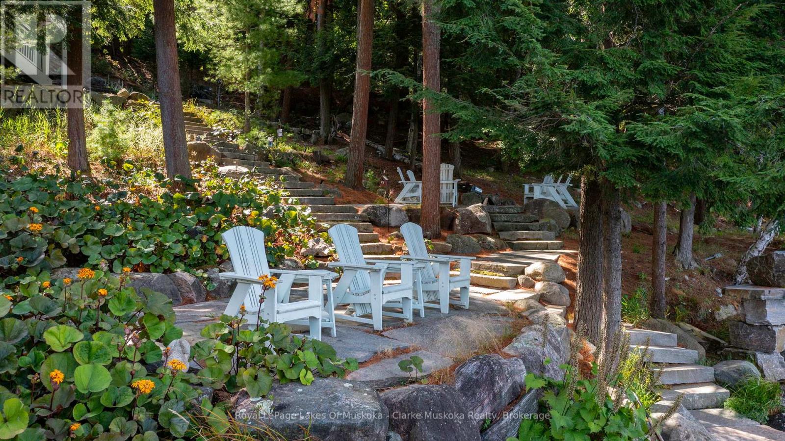 M81 PINE ISLAND #1 ISLAND - 20