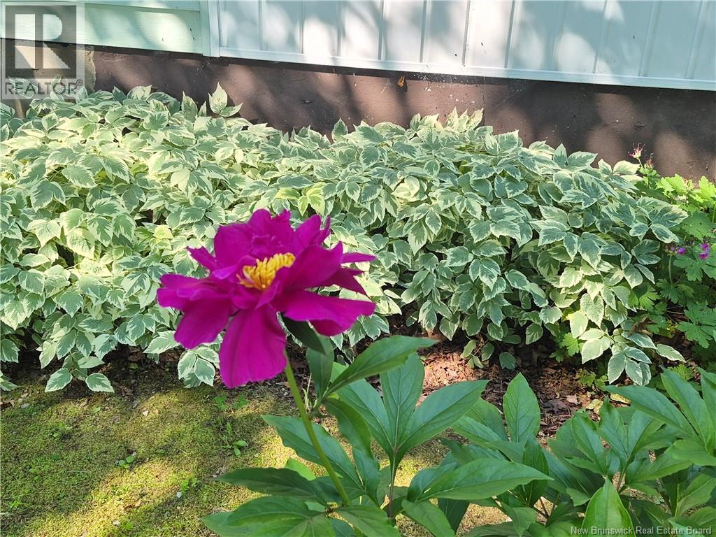 509 Rue Francois - Image 7