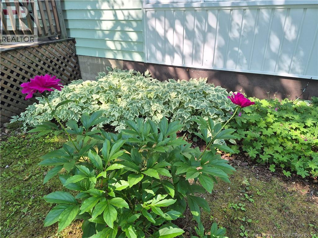 509 Rue Francois - Image 8