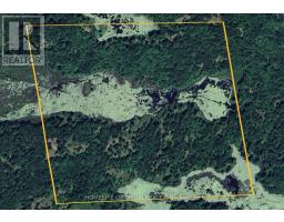 Pt Lt 20 Con 13 Hinchinbrooke, Frontenac, ON K0H2K0 Photo 10