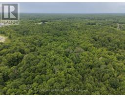 Pt Lt 20 Con 13 Hinchinbrooke, Frontenac, ON K0H2K0 Photo 8