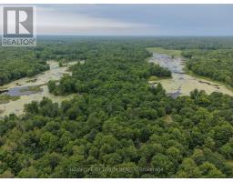 Pt Lt 20 Con 13 Hinchinbrooke, Frontenac, ON K0H2K0 Photo 6