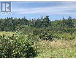 Lot Highway 330, Barrington Passage, NS B0W2P0 Photo 8