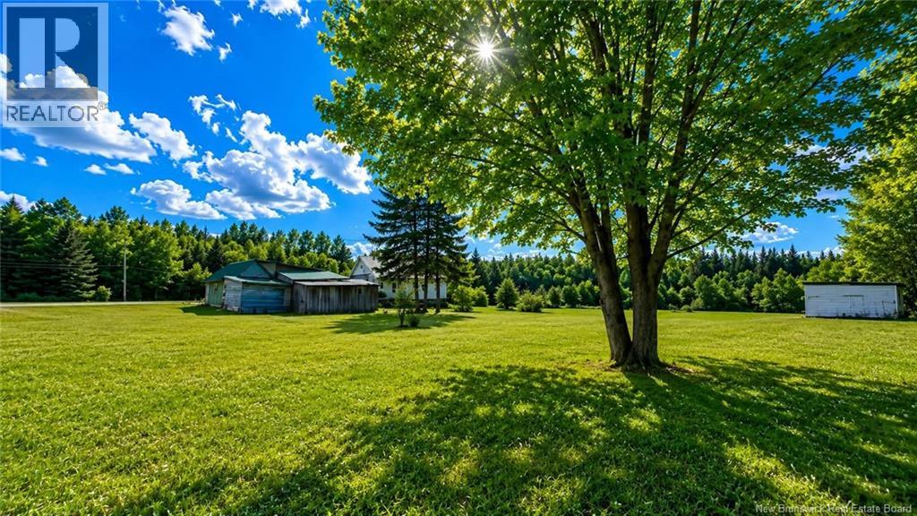 383 Lumber Road - 12
