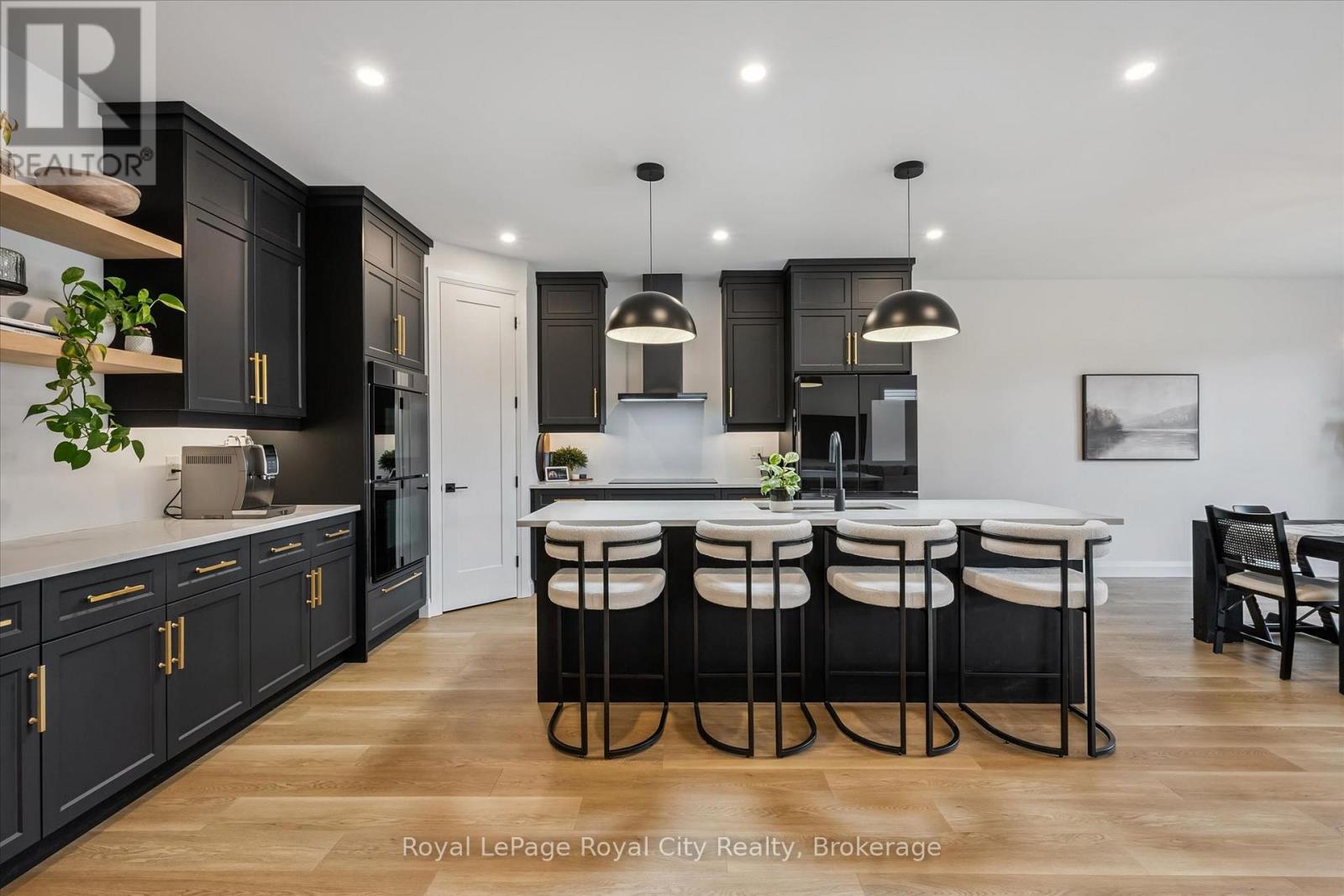 203 SCHMIDT DRIVE - 1