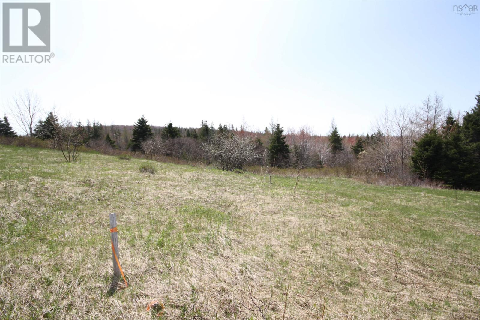 Property 8 of 9 of Lot 1 River Denys Mountain Road