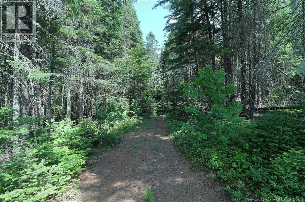 1079 Route 116 - Image 33