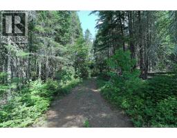 1079 Route 116, Gaspereau Forks, NB E4A1M8 Photo 33