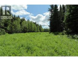 1079 Route 116, Gaspereau Forks, NB E4A1M8 Photo 34