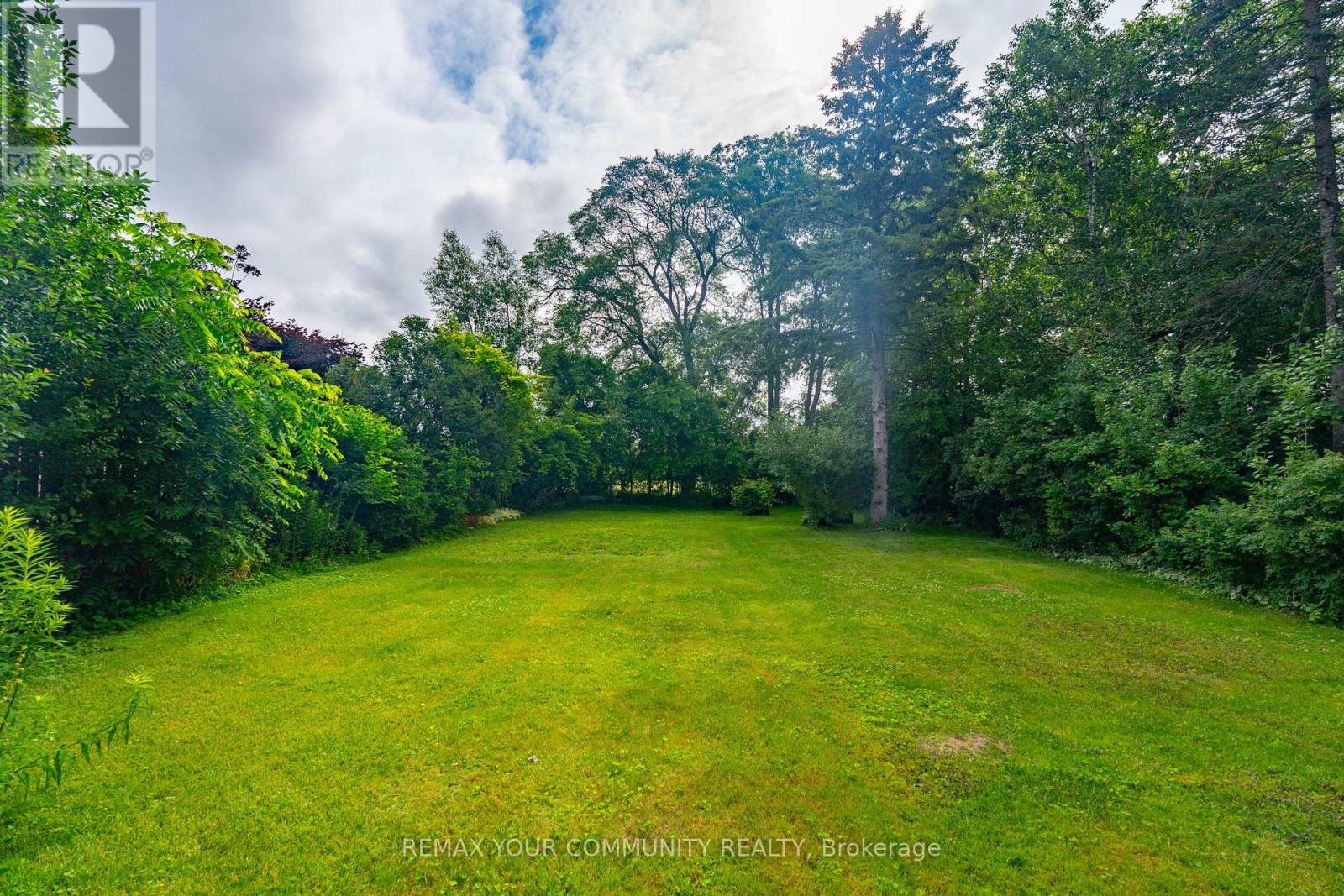 35 NETHERFORD ROAD - 15