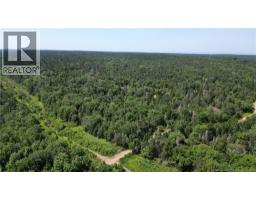 Money Cove Brook, Grand Manan, NB E5G1L8 Photo 7