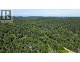 Money Cove Brook, Grand Manan, NB E5G1L8 Photo 9