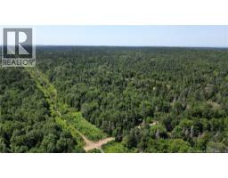 Money Cove Brook, Grand Manan, NB E5G1L8 Photo 10