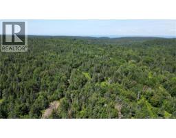Money Cove Brook, Grand Manan, NB E5G1L8 Photo 13
