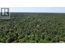 Money Cove Brook, Grand Manan, NB E5G1L8 Photo 14
