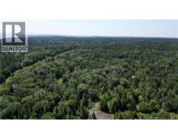 Money Cove Brook, Grand Manan, NB E5G1L8 Photo 15