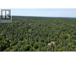 Money Cove Brook, Grand Manan, NB E5G1L8 Photo 11