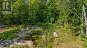 288 RANKIN LAKE ROAD - 17