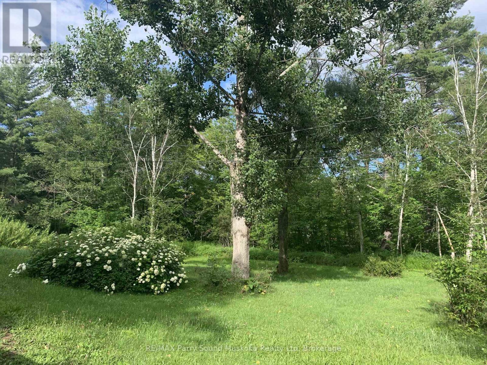 288 RANKIN LAKE ROAD - 10