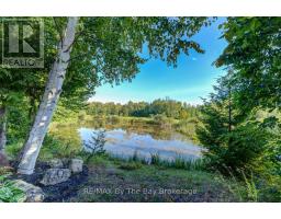 32 Green Briar Drive, Collingwood, ON L9Y5H9 Photo 27