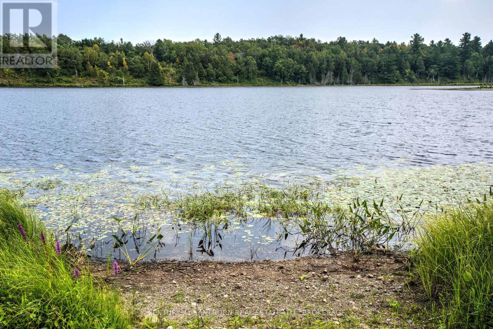 2905 COUNTY RD 15 ROAD - 37