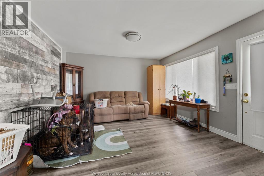 549 CLOVER - 6
