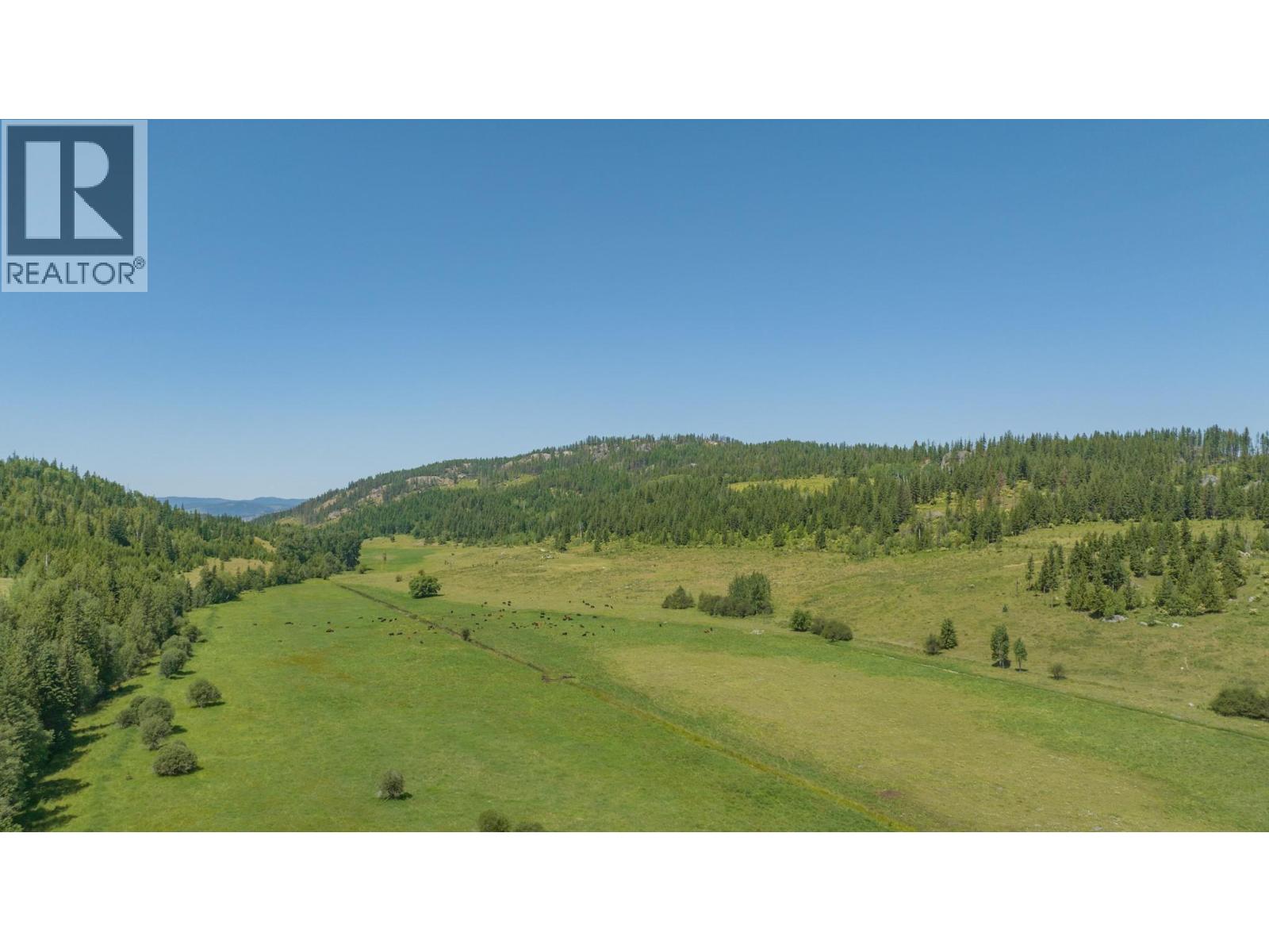 592 Bear Valley Road - 8