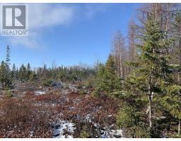 Lot 00 Palmer Road, Wentworth Valley Preserve, Wentworth Valley, NS B0M1Z0 Photo 7