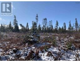Lot 00 Palmer Road, Wentworth Valley Preserve, Wentworth Valley, NS B0M1Z0 Photo 8