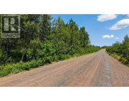 Lot 00 Palmer Road, Wentworth Valley Preserve, Wentworth Valley, NS B0M1Z0 Photo 9