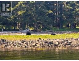 Dl 2236-2249 Graham Island, Daajing Giids City, BC V0T1M0 Photo 16