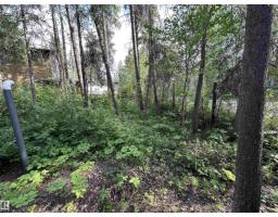 4307 Spruce Pt, Rural Lac Ste  Anne County, AB T0E1V0 Photo 55