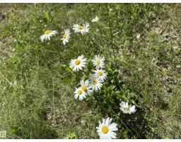 4307 Spruce Pt, Rural Lac Ste  Anne County, AB T0E1V0 Photo 75