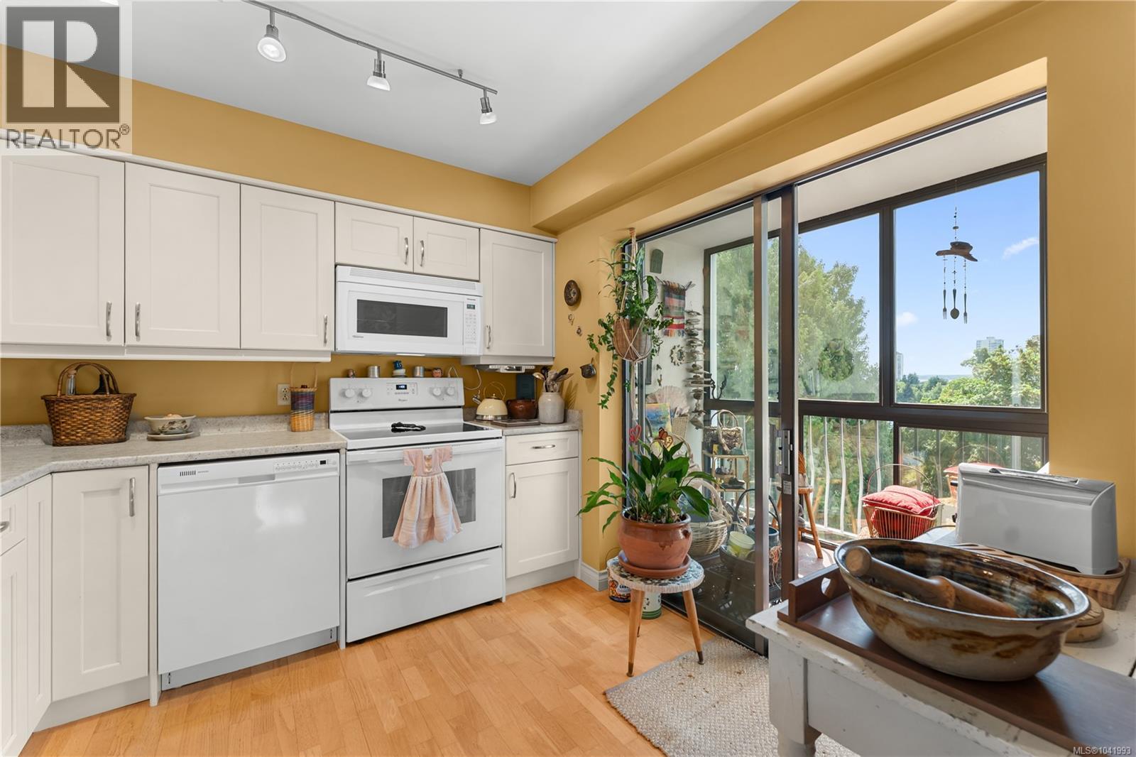 #703 33 Mt. Benson Rd - 11