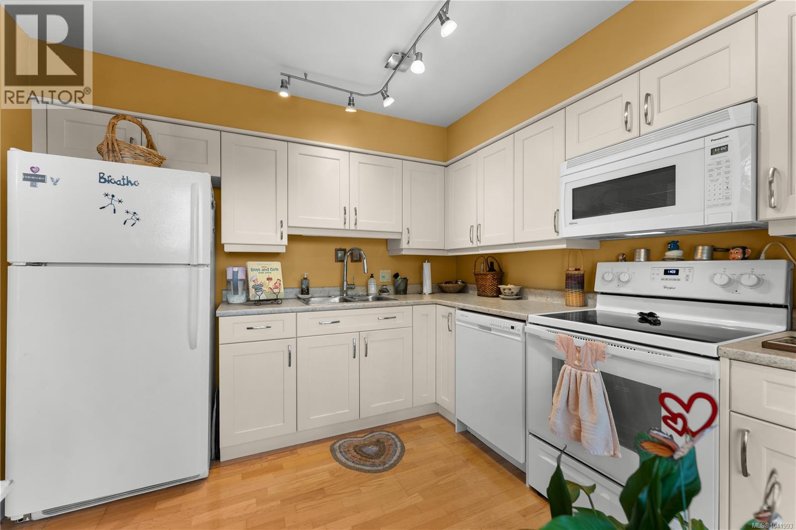 #703 33 Mt. Benson Rd - 12