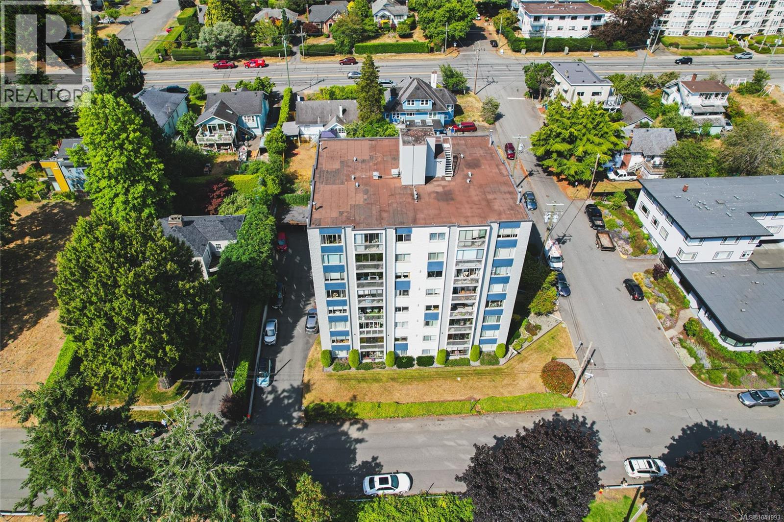 #703 33 Mt. Benson Rd - 21