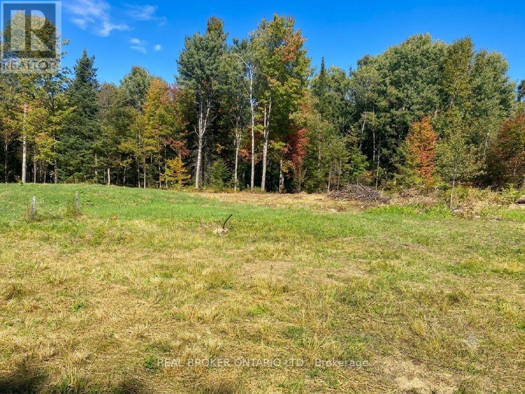 1248 BEIERS ROAD, Gravenhurst (Morrison) — photo 3