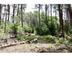 Roseway Drive, Upper Ohio, NS B0T1J0 Photo 23