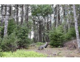 Roseway Drive, Upper Ohio, NS B0T1J0 Photo 24