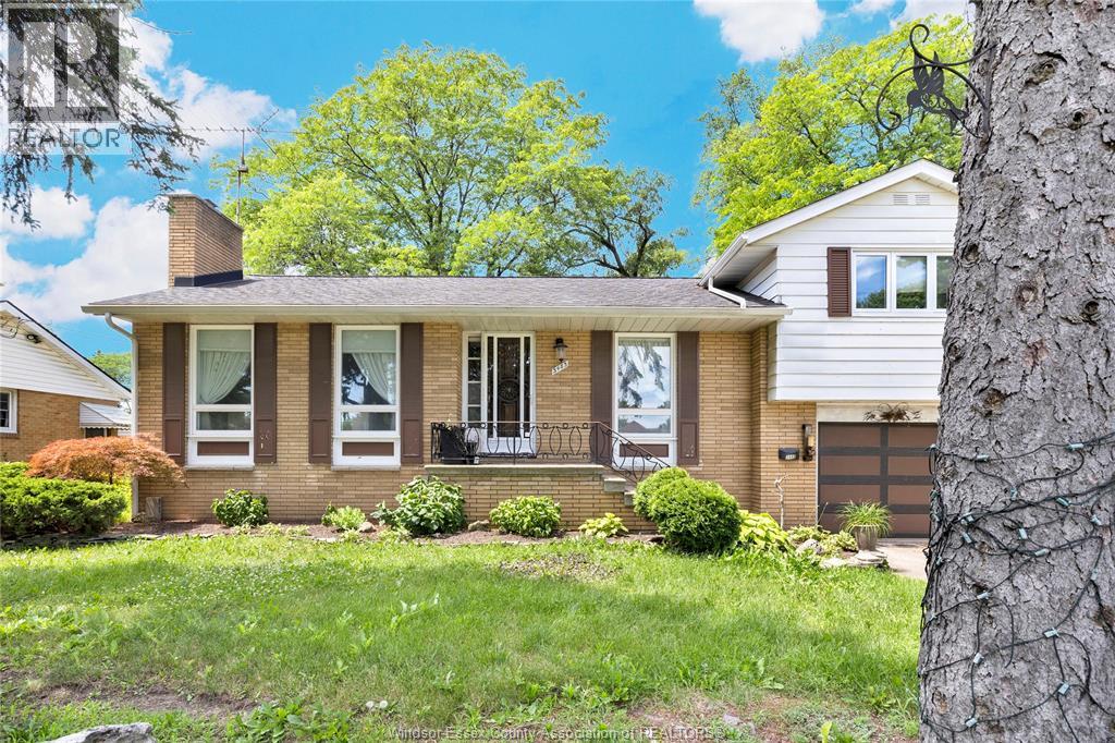 3483 DOUGALL - 1