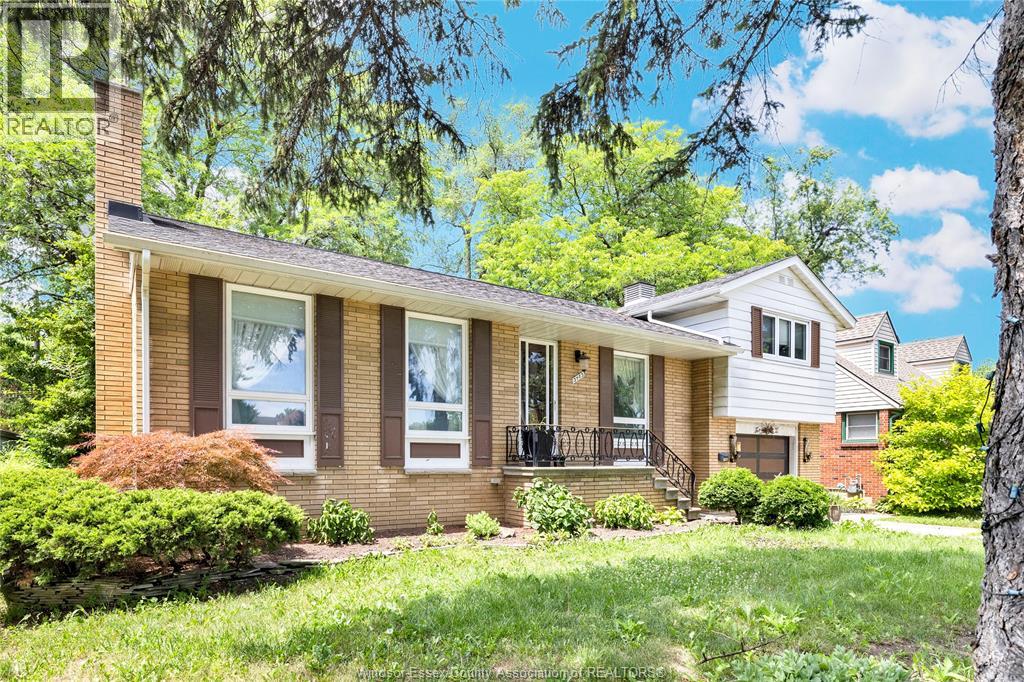 3483 DOUGALL - 2