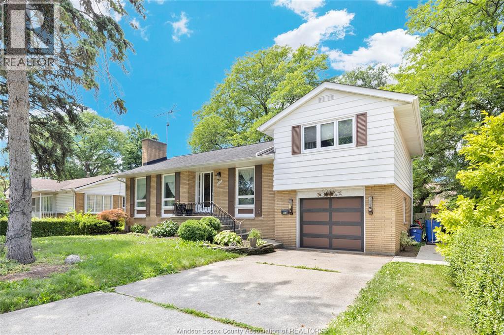 3483 DOUGALL - 3