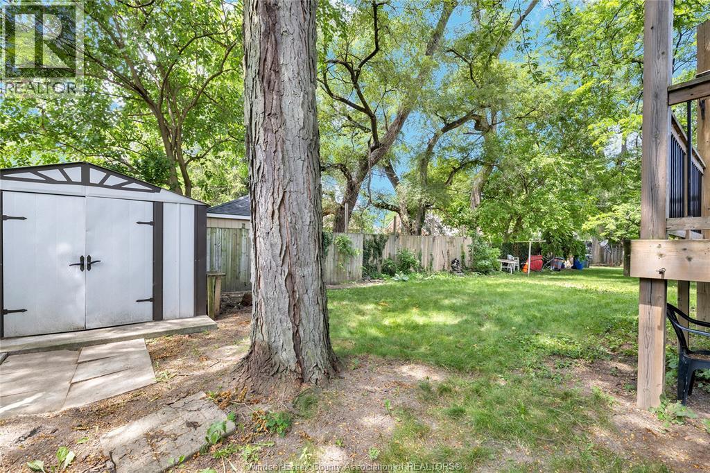 3483 DOUGALL - 31