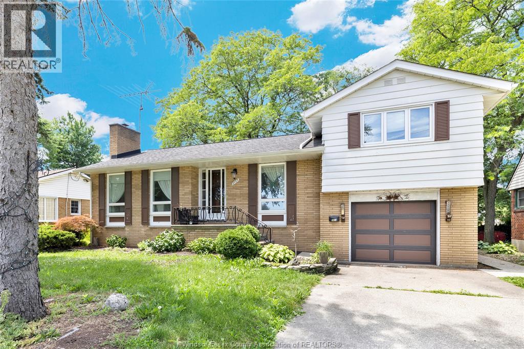 3483 DOUGALL - 4