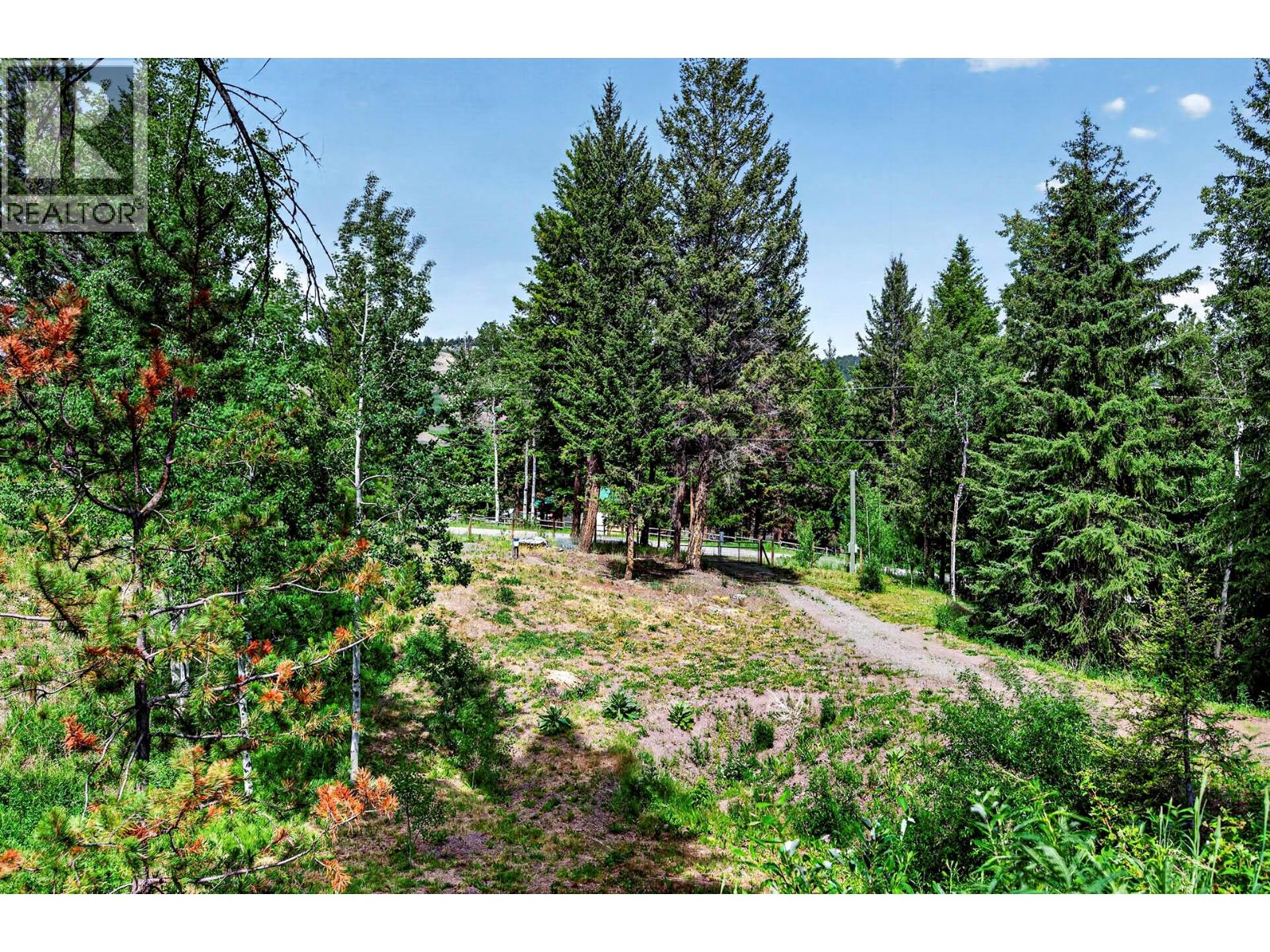393 Wild Rose Drive - 61