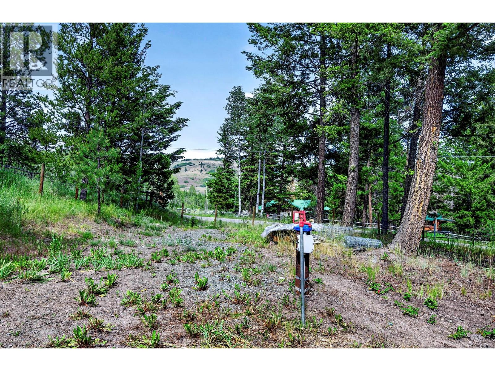 393 Wild Rose Drive - 62