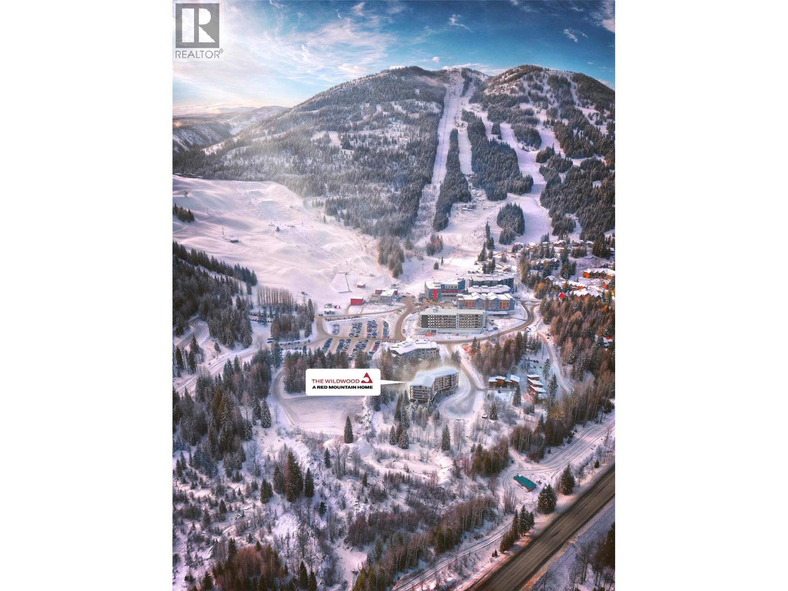 1010 Telemark Road Unit# 401, Rossland