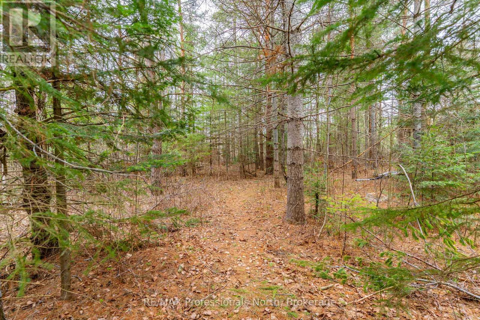 2195 LOOP ROAD - 41