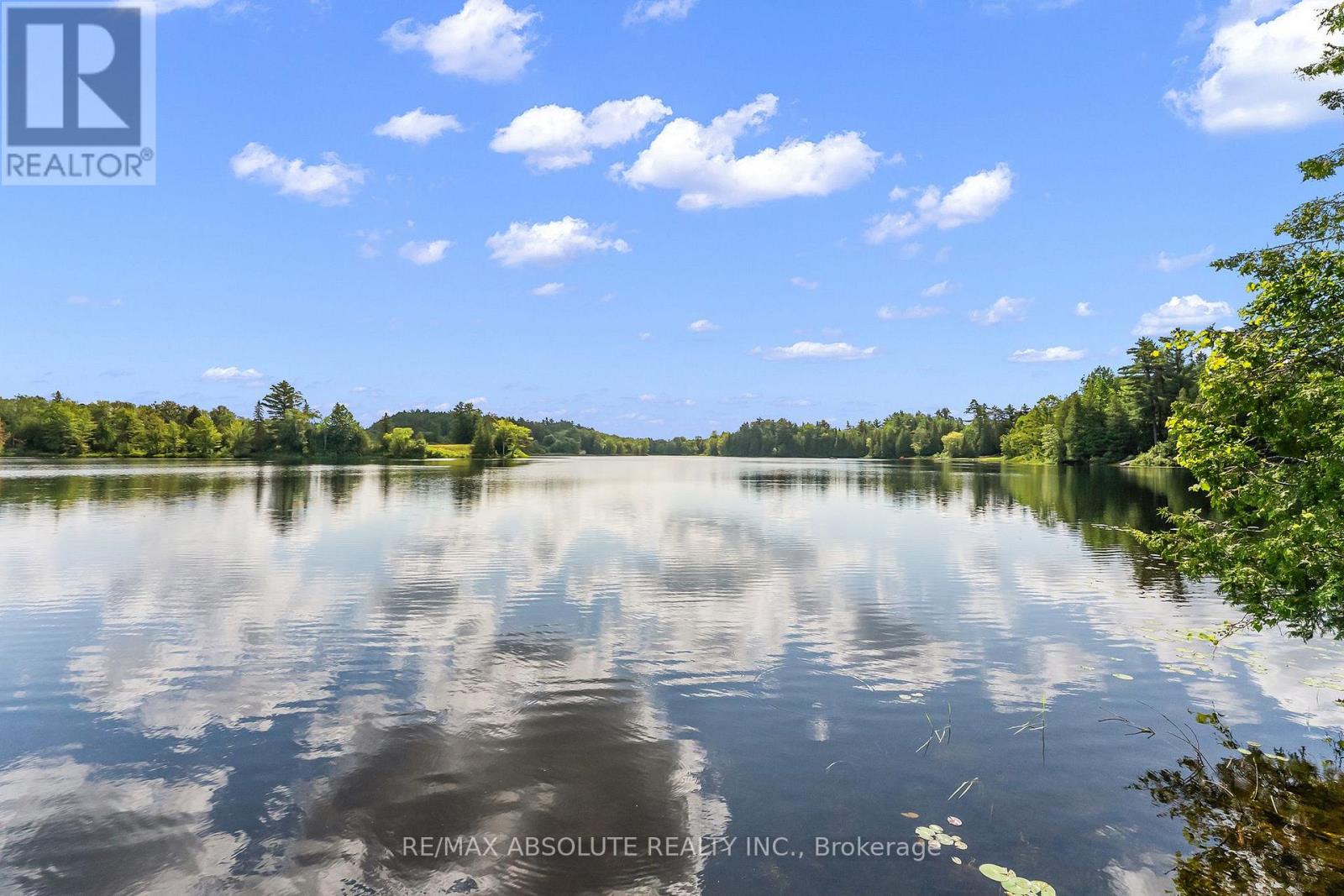 311 TARA TRAIL - 36