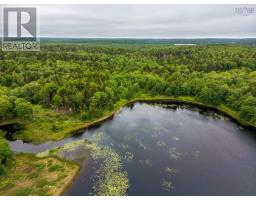 Lots Isadore Thibeau Road, Havelock, NS B0W1M0 Photo 22